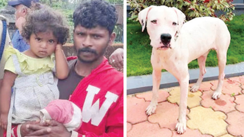 Pet dog tracks missing toddler in tiger territory