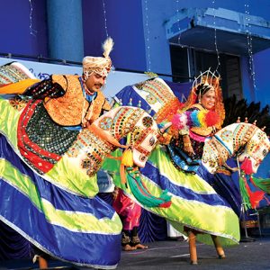 Bahuroopi at a glance