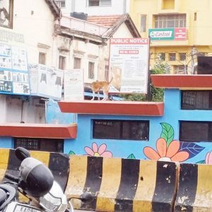 Subway to nowhere on Sayyaji Rao Road
