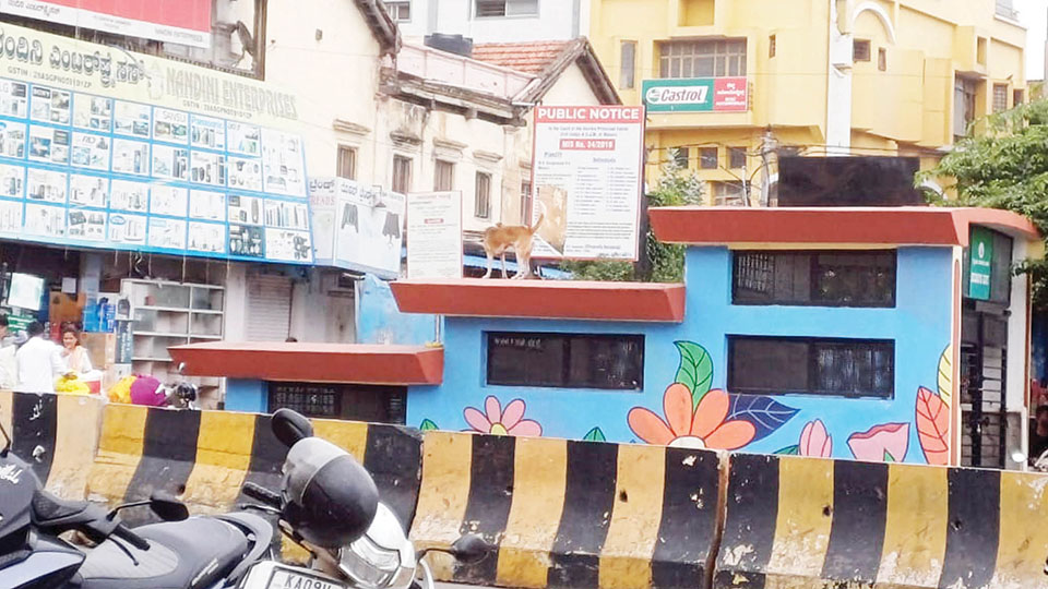 Subway to nowhere on Sayyaji Rao Road