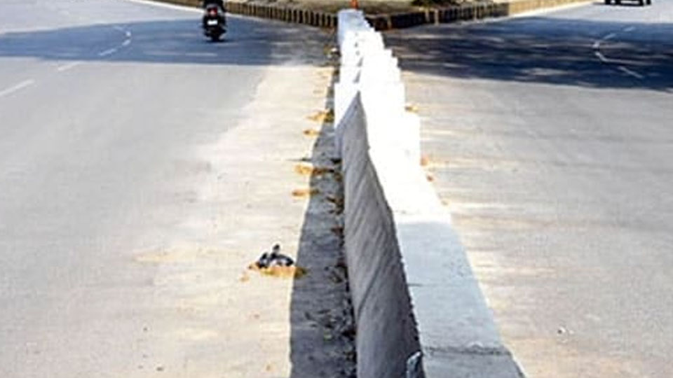 No need of permanent divider on narrow road