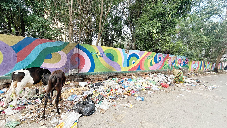 Are we citizens really civilised?