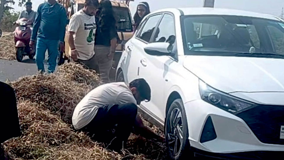 Threshing on roads turns deadly for motorists