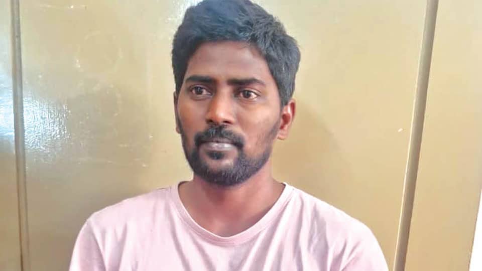 Andhra Pradesh burglar held for house thefts in Mysuru