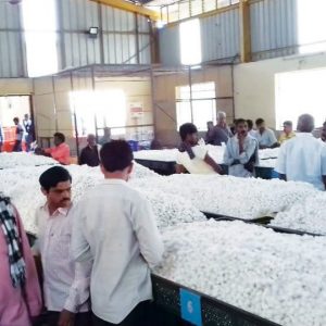 Rs. 20-crore silk cocoon market in Mysuru soon