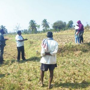 Survey of KRS backwater encroachments begins