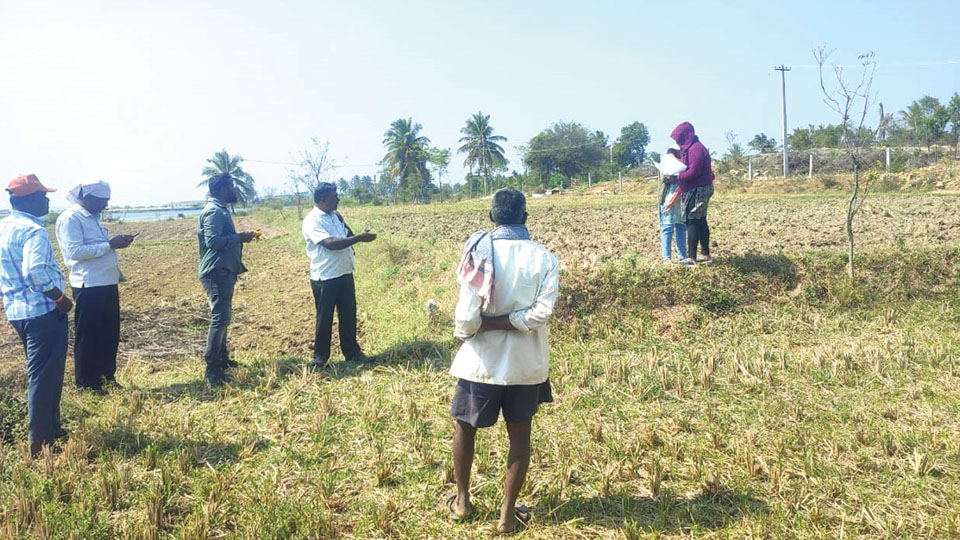 Survey of KRS backwater encroachments begins