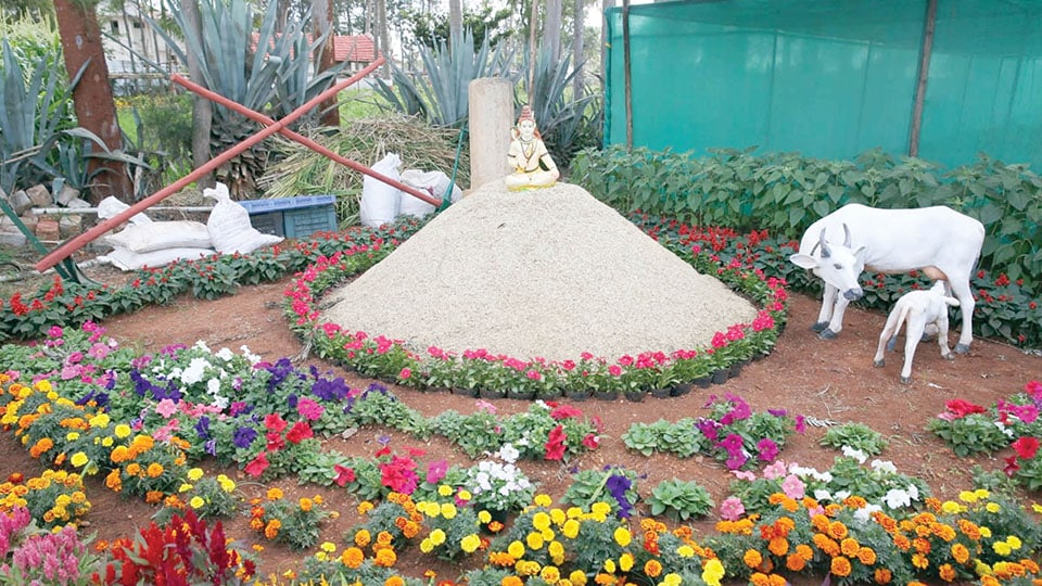 ‘Krishi Brahmanda’ boosts GI products of Mysore