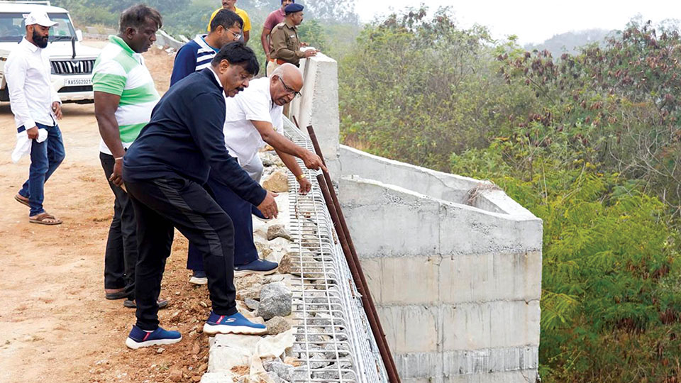 Minister inspects Chamundi Hill landslide site, pending wall works