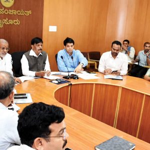 PRASHAD works atop Chamundi Hill | Heritage or Gopura will not be damaged: District Minister