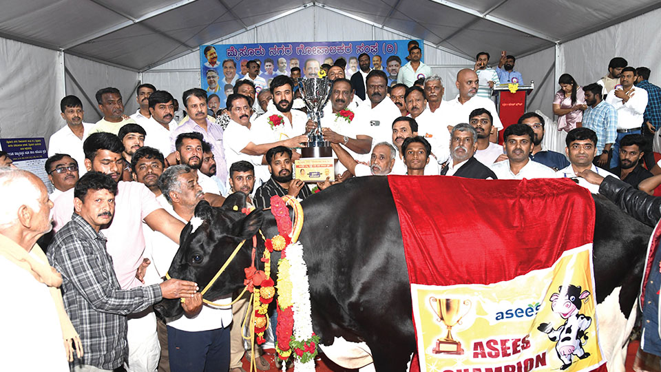 Bengaluru cow wins 1st prize with 58.7 kg milk; Mysuru cow 2nd with 55.2 kg milk