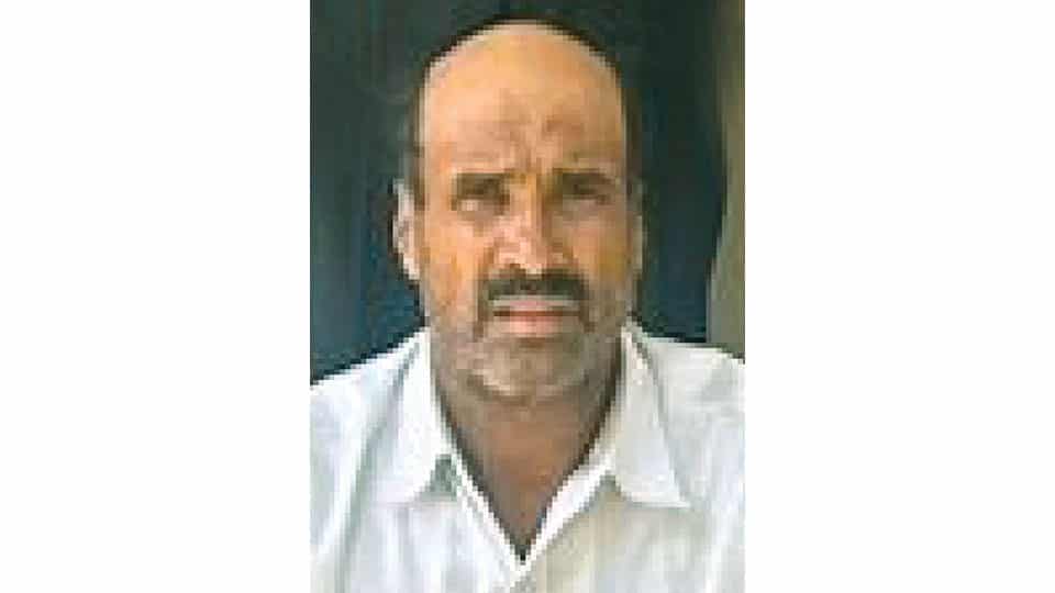 One arrested for poisoning leopard to death