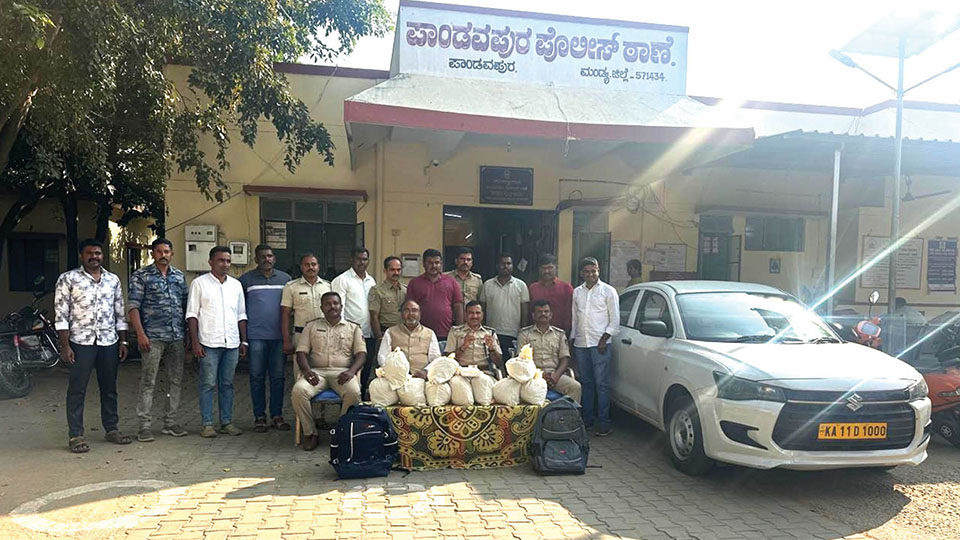Pandavapura Police seize 10 kg ganja, three arrested