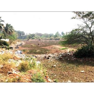 Chola-era Bogadi Lake near peril
