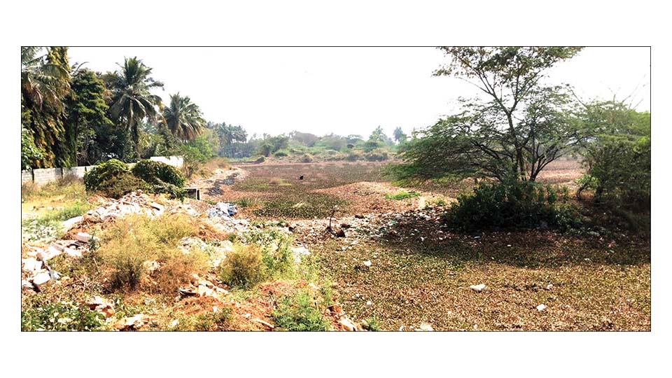 Chola-era Bogadi Lake near peril
