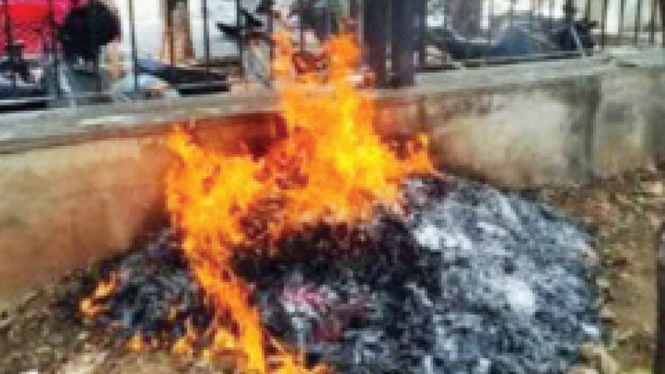 Burning leaves, burning lungs