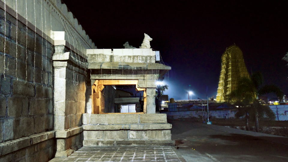 Granite Guardian of Mysuru Chamundi Hill