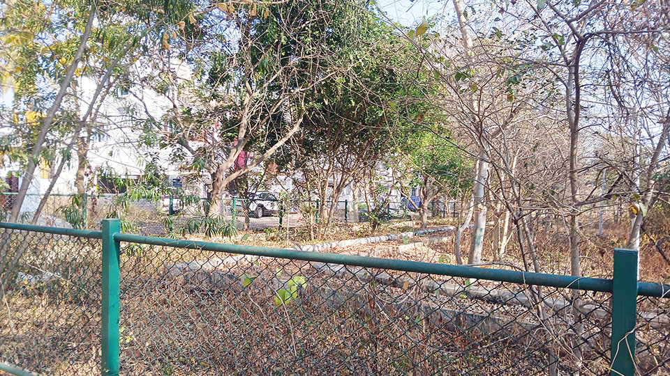 Kotivruksha Park turns into a fire trap