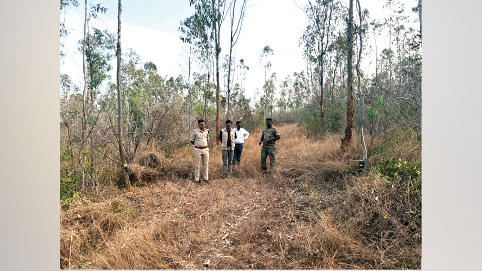 Villagers in fear after spotting tiger near Jattihundi
