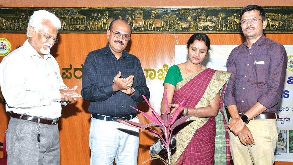 ‘Mummadi, Nalwadi eras richly patronised art of painting’
