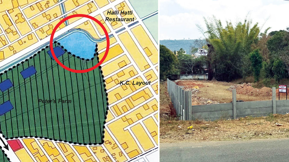 Who Are They Afraid Of …?