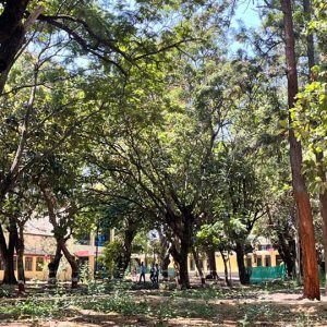 Stadium plan to hit silk production: KSIC report