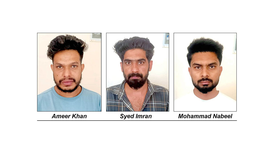 Bid to sell MDMA worth Rs. 1.20 lakh: Engineering student among three arrested