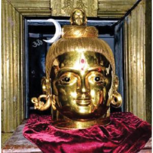 Special Puja at Trineshwaraswamy Temple