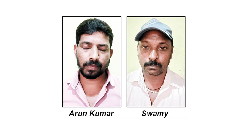 Kerala State lottery tickets