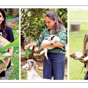 Where SCIENCE meets the WILD