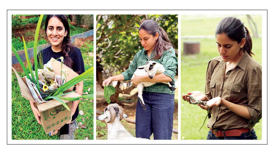 Where SCIENCE meets the WILD