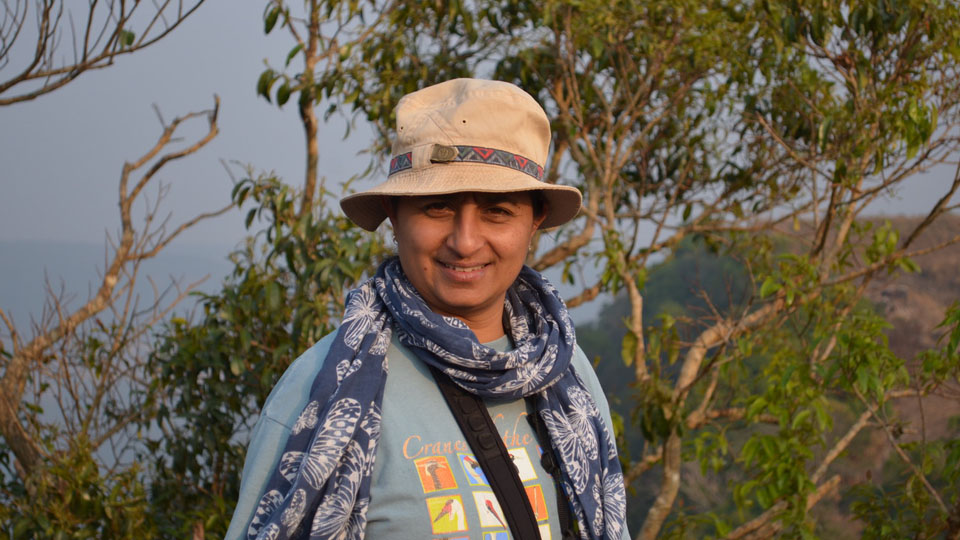 Rooted in… Rainforests