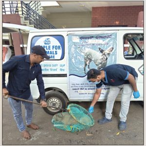 Anti-rabies vaccination drive held across Mysuru