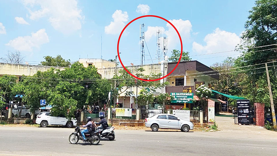 Mobile tower for just Rs. 265 rent!