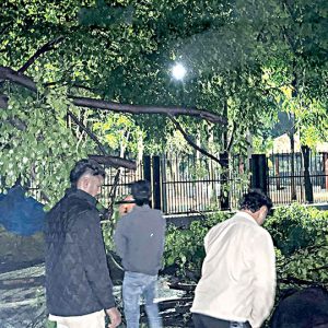 Rain brings some respite from scorching heat