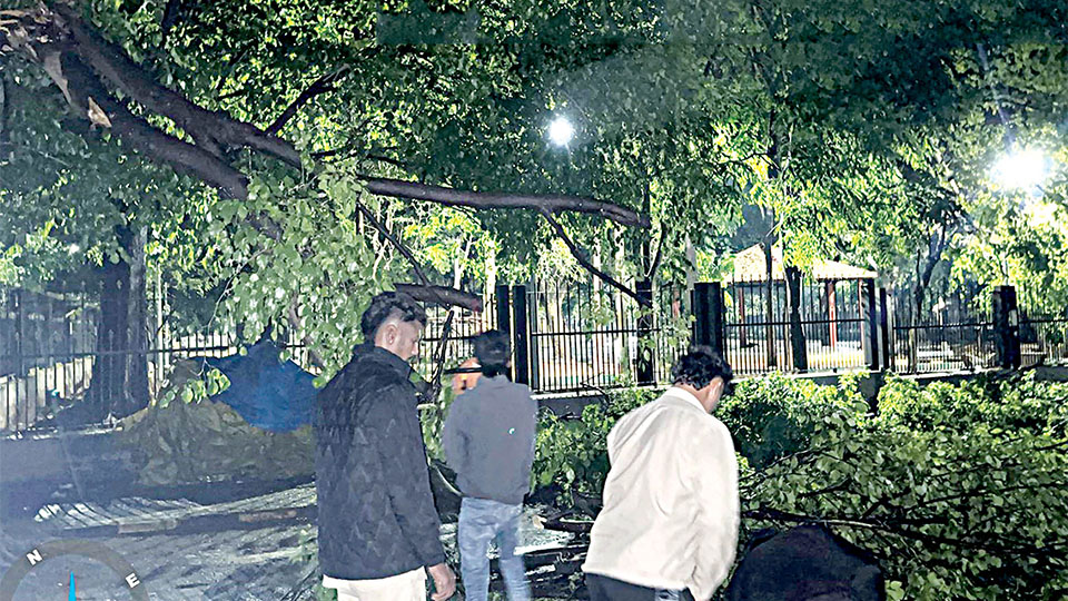 Rain brings some respite from scorching heat