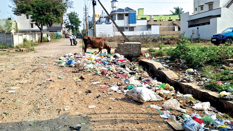 Waste Dumping Spot…