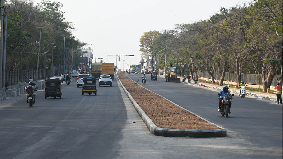 Road turns sleek, but trees vanish
