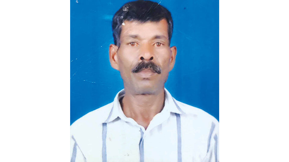 Retired Forest Dept. employee killed in road accident