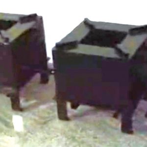 Commercial LPG shortage: Firewood stoves make a fiery comeback