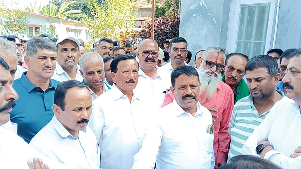 Elephant tramples coffee planter