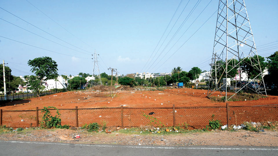 Yet again… Food stalls coming up under high-tension wire