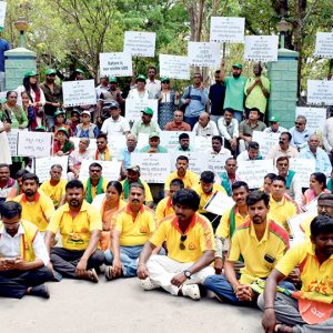 Felling of 46 trees on Kapila River banks: No progress in probe yet, allege protesters