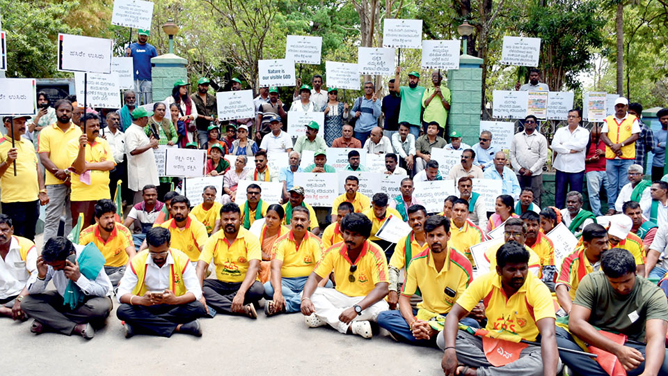 Felling of 46 trees on Kapila River banks: No progress in probe yet, allege protesters