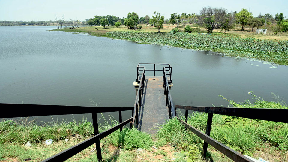 Rejuvenation works begin at Varuna Lake