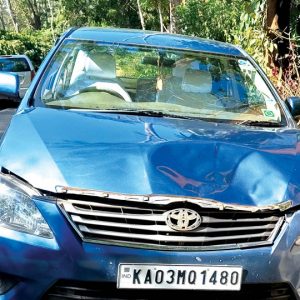 Bison damages car at Siddapura in Kodagu
