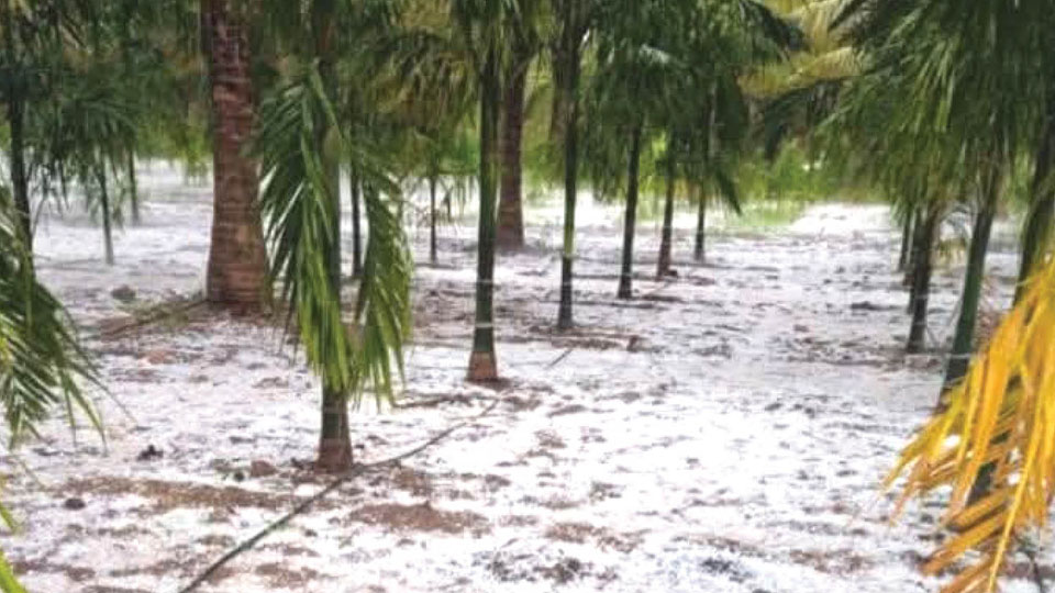 Rare occurrence in the history…