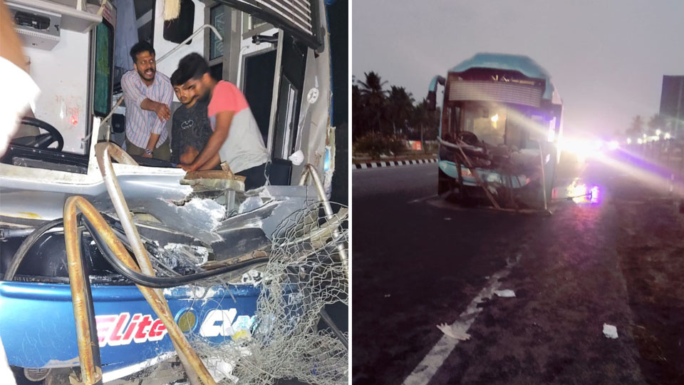 Four killed in early morning bus accident