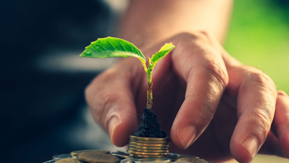 Endowment Plan: Benefits, Returns, and Tax Advantages