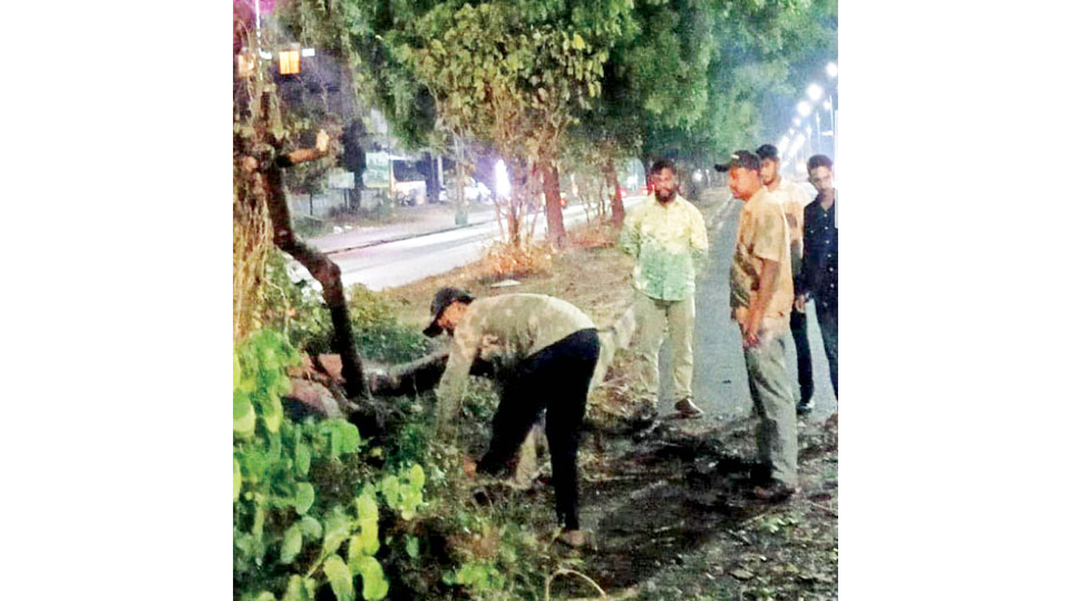 Rains bring respite from heat in Mysuru